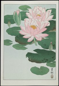 Waterlelie, 1930s door Ohara Koson